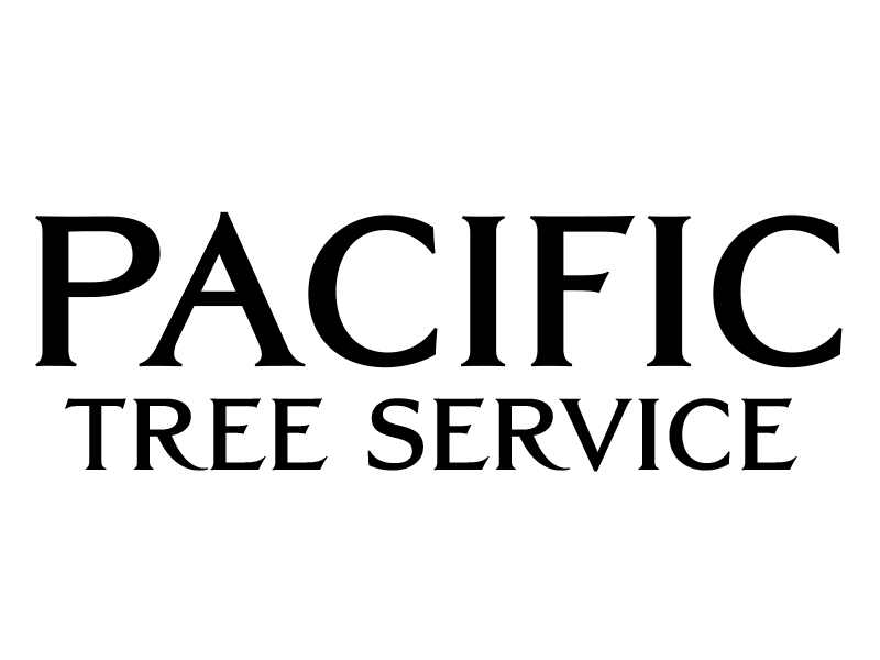 Pacific Tree Service