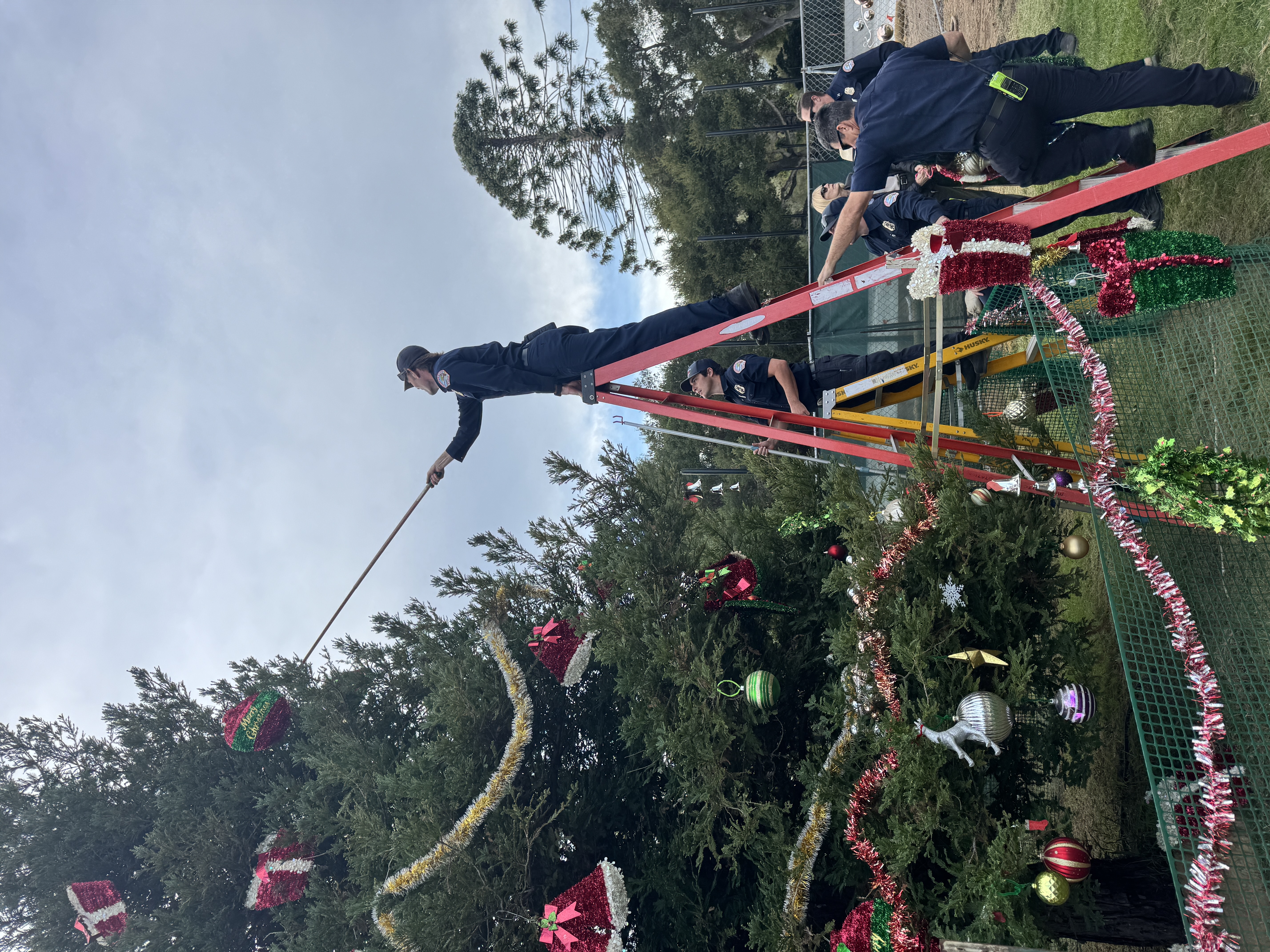 Hathaway Tree Tradition