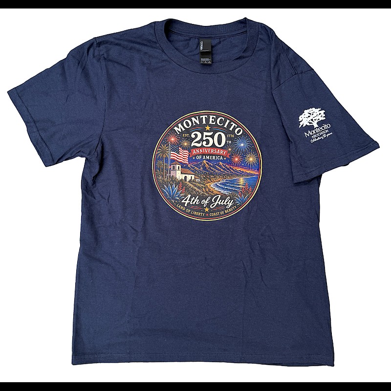 250th Fourth of July T-Shirt