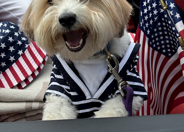 4th of July 2026