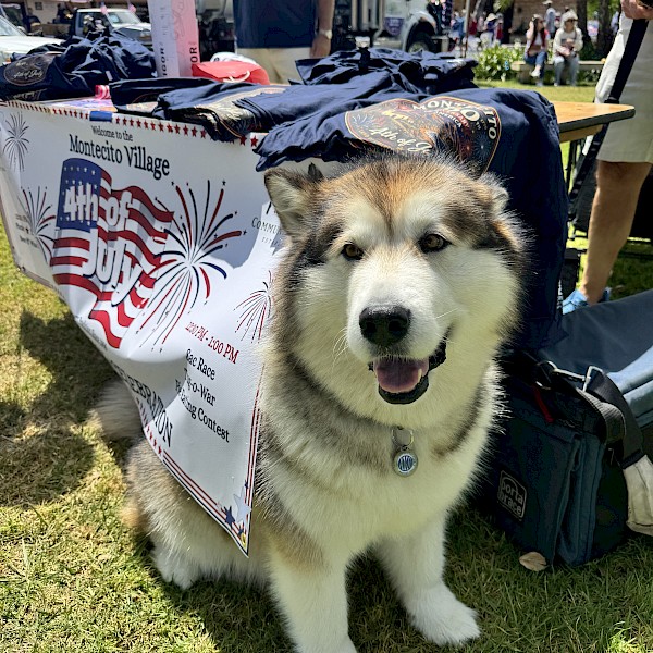 Photo: Montecito Association