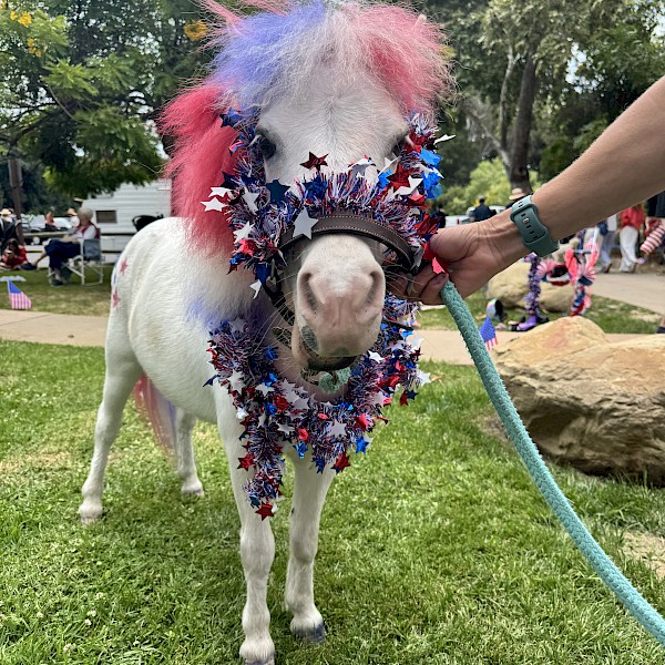 Photo: Montecito Association